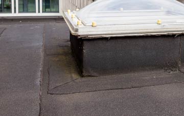 disadvantages of Ruspidge flat roofs