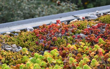 the cost of Ruspidge green roof installation