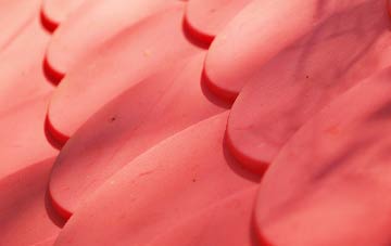 Ruspidge plastic roof costs