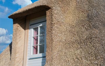 Ruspidge thatch roof disadvantages